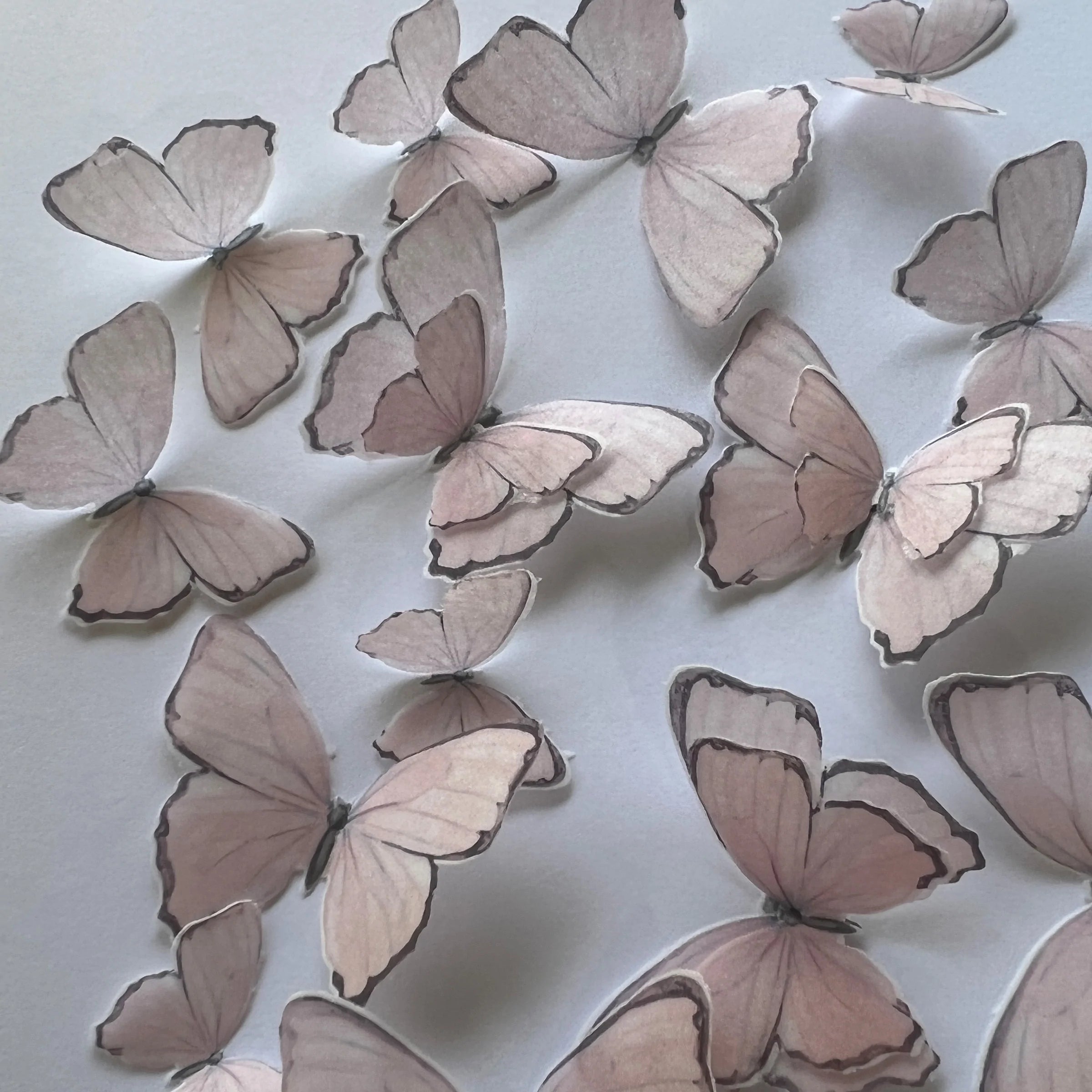 Light Pink with grey edge  Pre-cut Edible Wafer Butterflies WP021_M