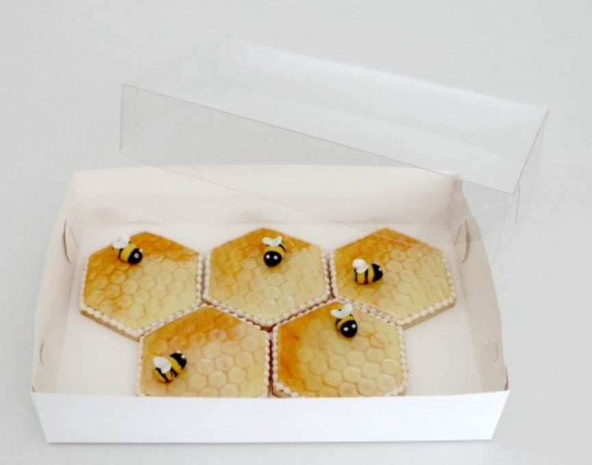 Loyal Clear Lid Biscuit Box- 10" x 7" x 2" (25.5 x 17.5 x 5cm)