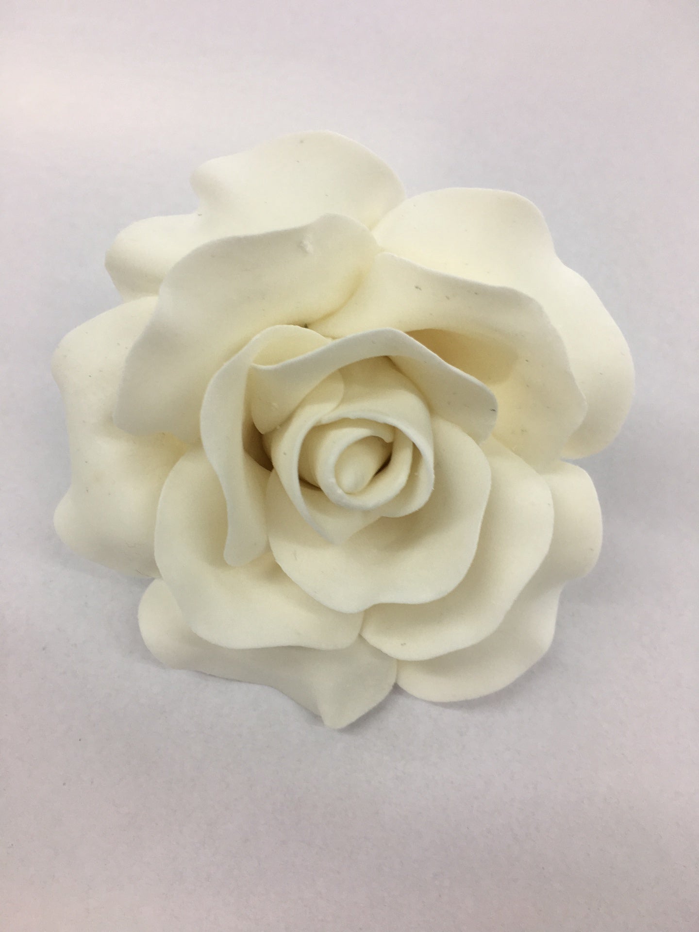 Extra Large Roses - White