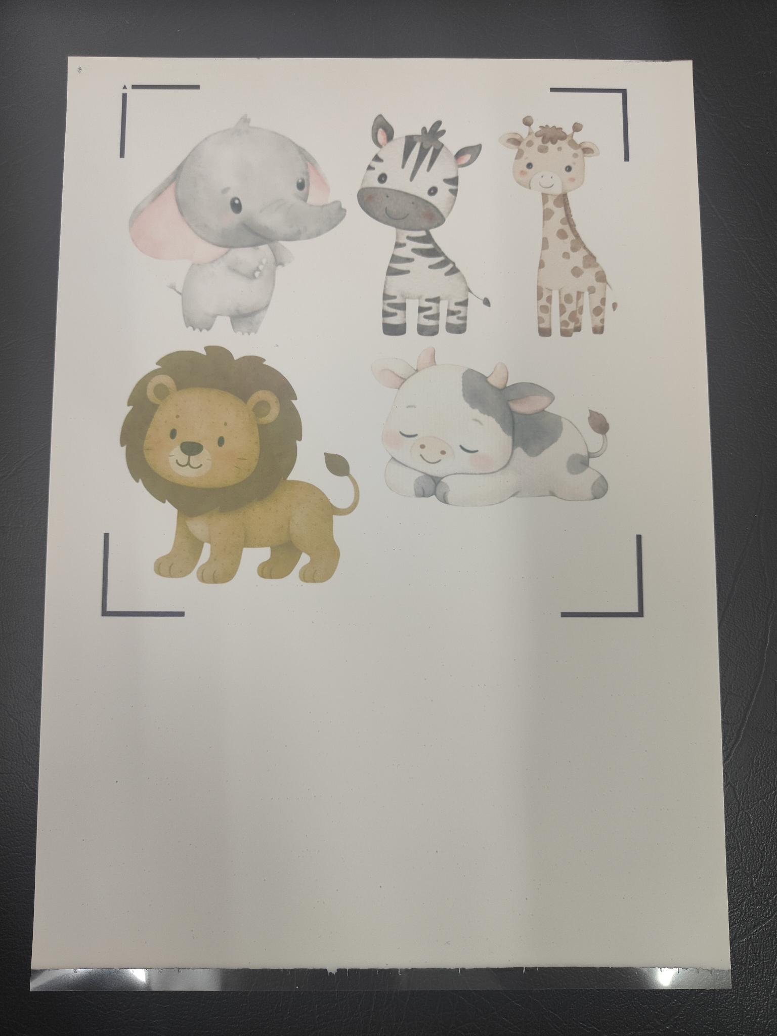 Printed Edible Icing Sheet - A4 Various Designs - Misprinted/Slight Errors