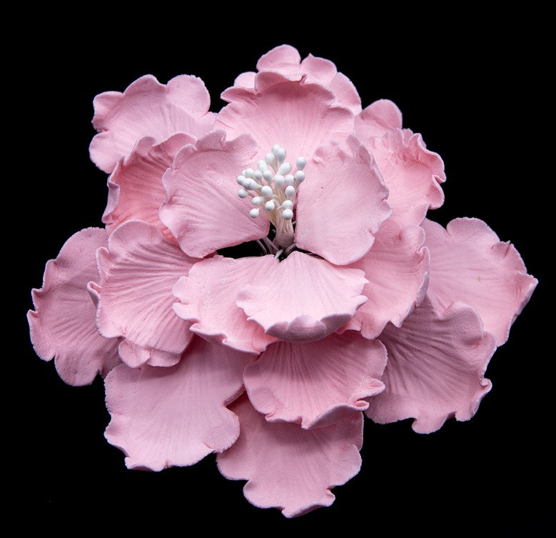 Garden Peony Medium - Pink