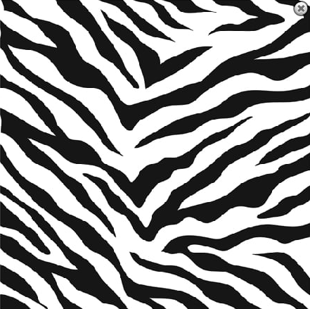 Zebra Print Template 12x12