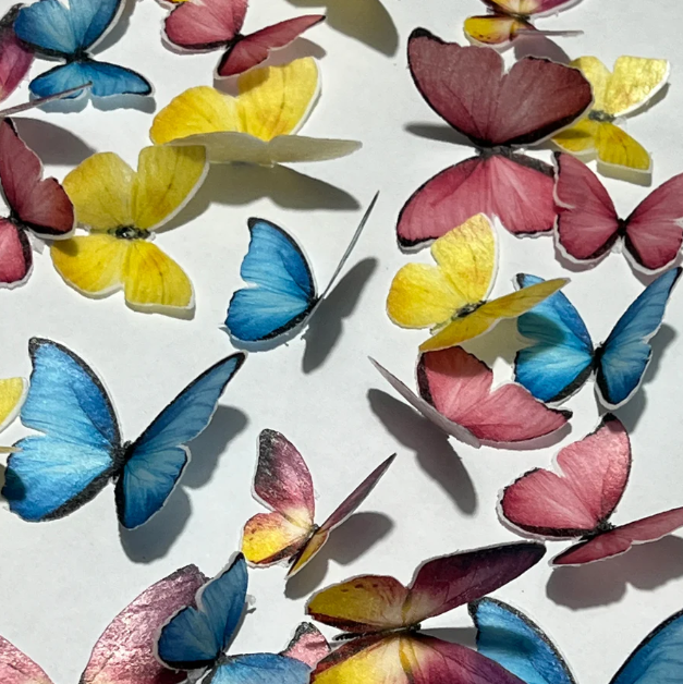 Bright Encanto Pre-Cut Edible Wafer Butterflies