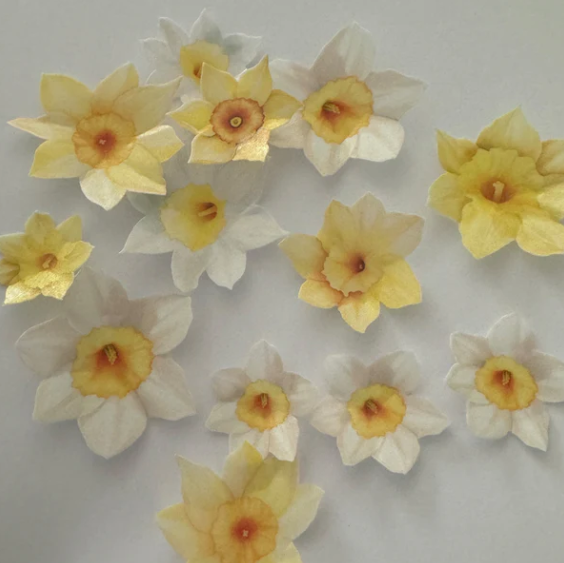 Daffodils Pre-Cut Edible Wafers