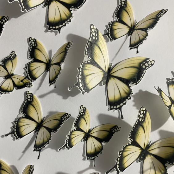 Yellow Pre-cut Edible Wafer Butterflies