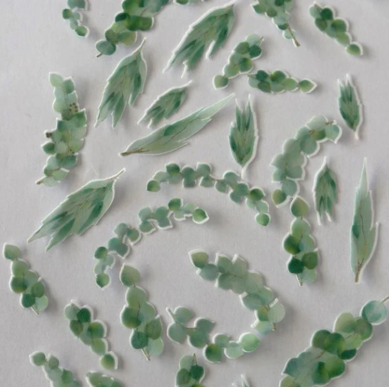 Eucalyptus Pre-cut Edible Wafer Leaves