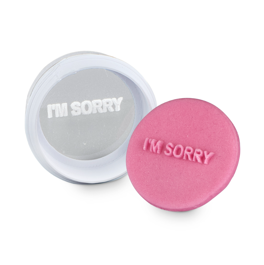 I'm Sorry Mini Message by Sweet Sticks — Cake Tinz n' Thingz