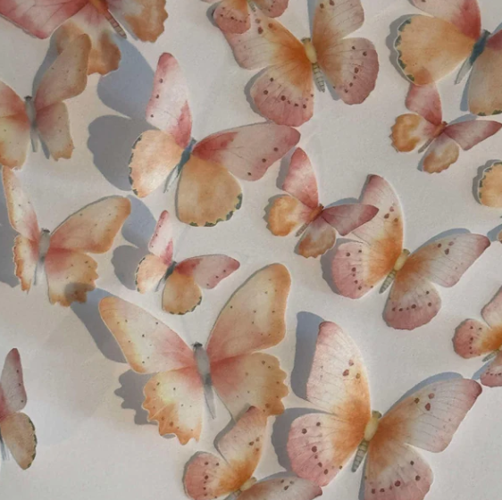 Pink & Orange Pre-cut Edible Wafer Butterflies