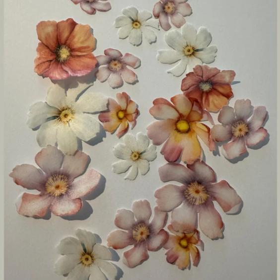 Multicoloured Pre-cut Edible Wafer Flowers