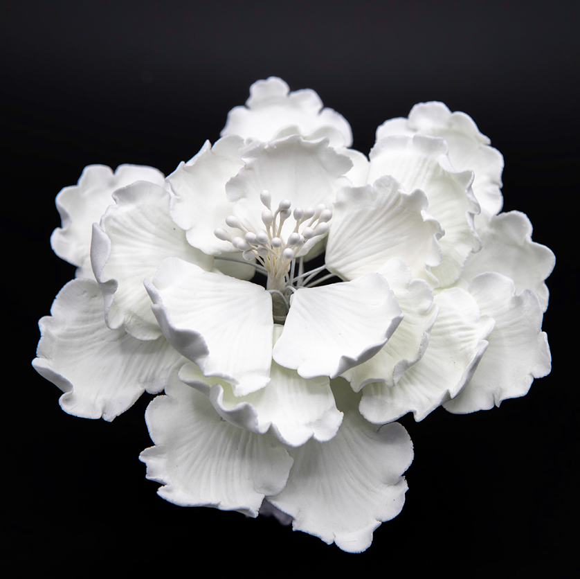 Garden Peony Medium - White