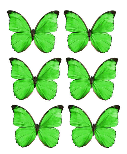 Emerald Green Pre-cut Edible Wafer Butterflies