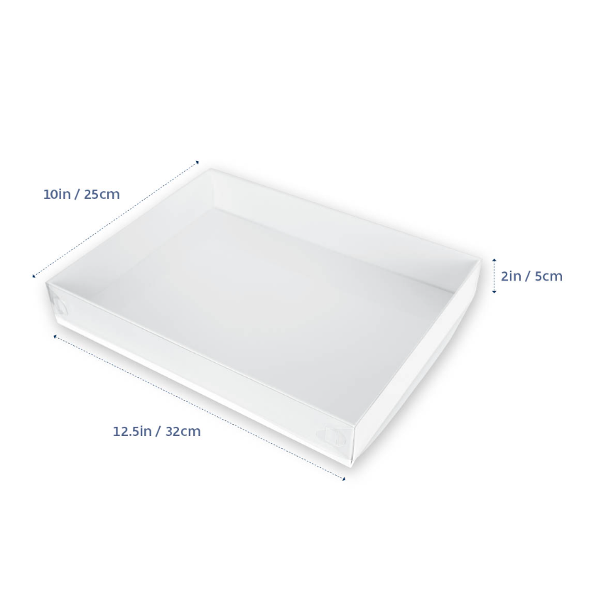 Loyal Clear Lid Biscuit Box - 12.5 x 10 x 2 (32x25x5cm)