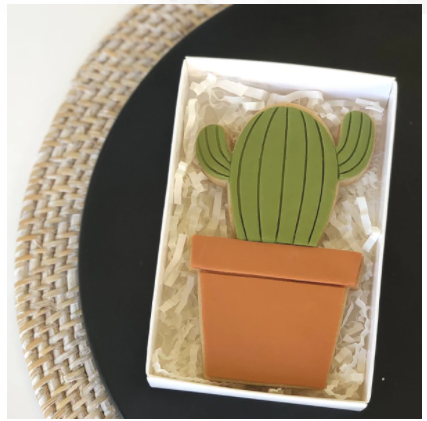 Cactus Plant Set (Little Biskut)