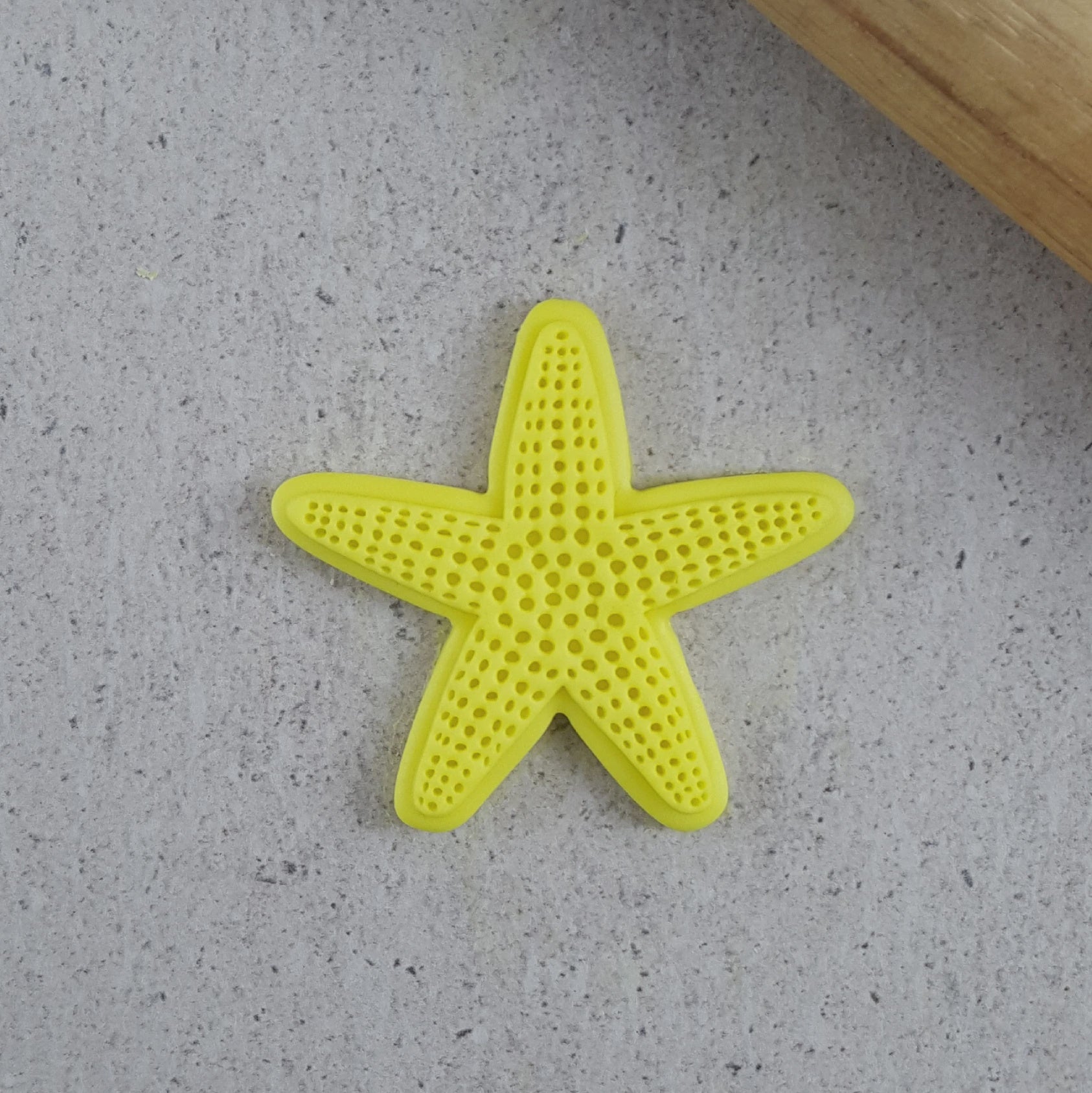 Custom Cookie Cutters Starfish Mini Cutter & Embosser Set