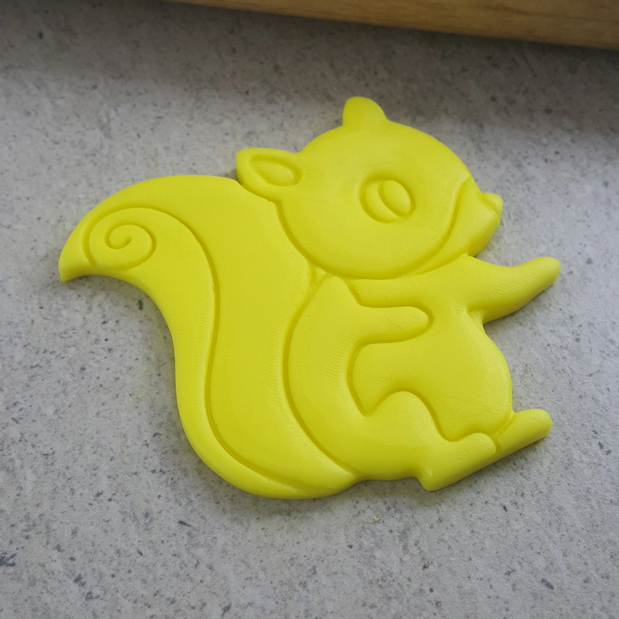 Custom Cookie Cutters Squirrel Cutter and Embosser Set