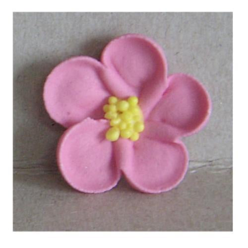 5 petal blossom - Pink 30mm (Medium) Pack of 6