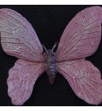 Caroline's Silicon Mould - Butterfly Large BL65
