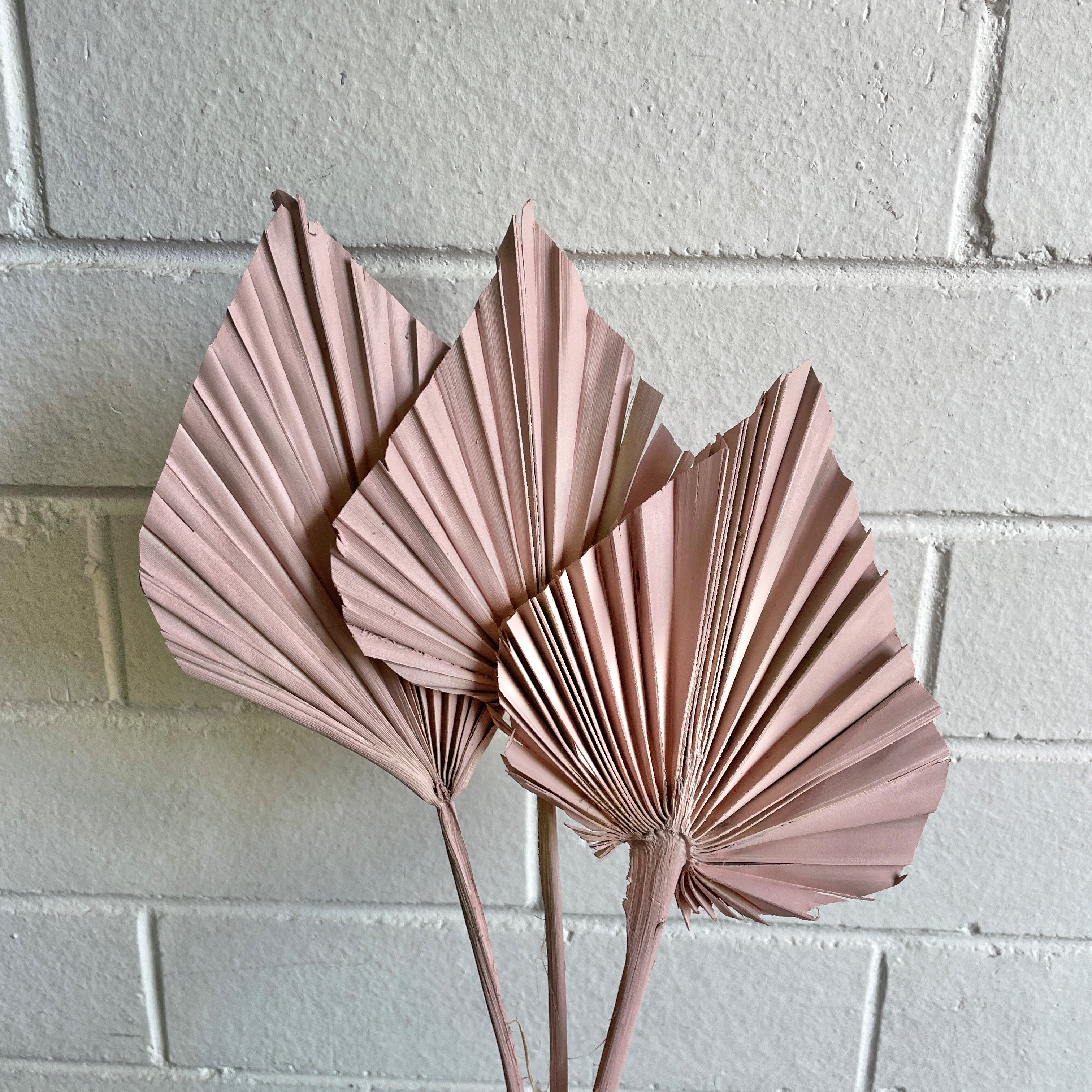 Mini Palm Spear - Baby Pink